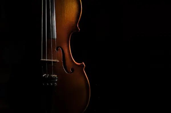 Violin instrument for violin lessons in Brighton MI